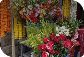 category-image